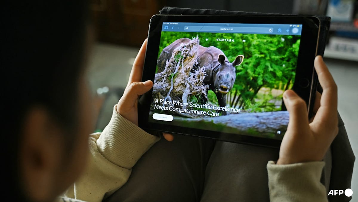 Indian tycoon's giant Vantara zoo announces 'reset', rethinks imports
