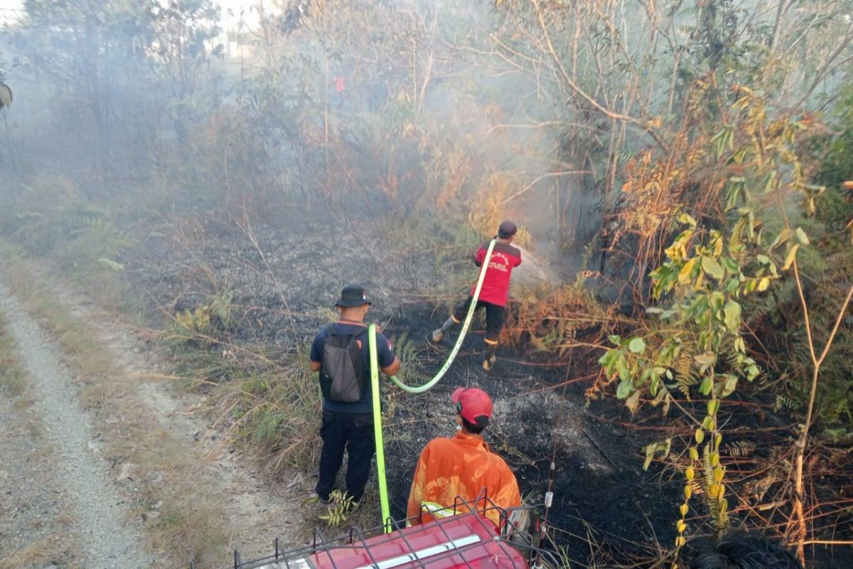 DPR RI member urges stronger forest and land fire mitigation for public safety