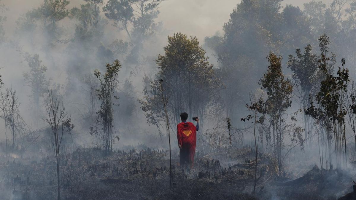 Forest and Land Fires in Kapuas Remain Uncontrolled Due to Terrain Constraints