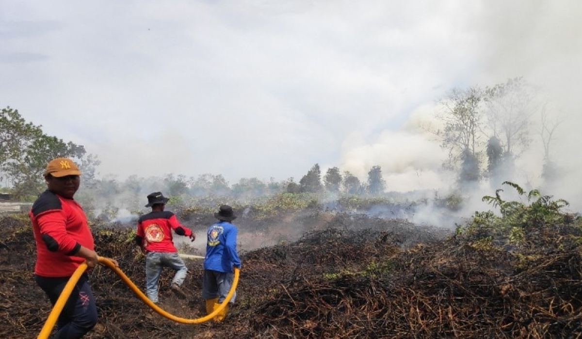 Three TNI Battalions Deployed to West Kalimantan to Control Fire Hotspots