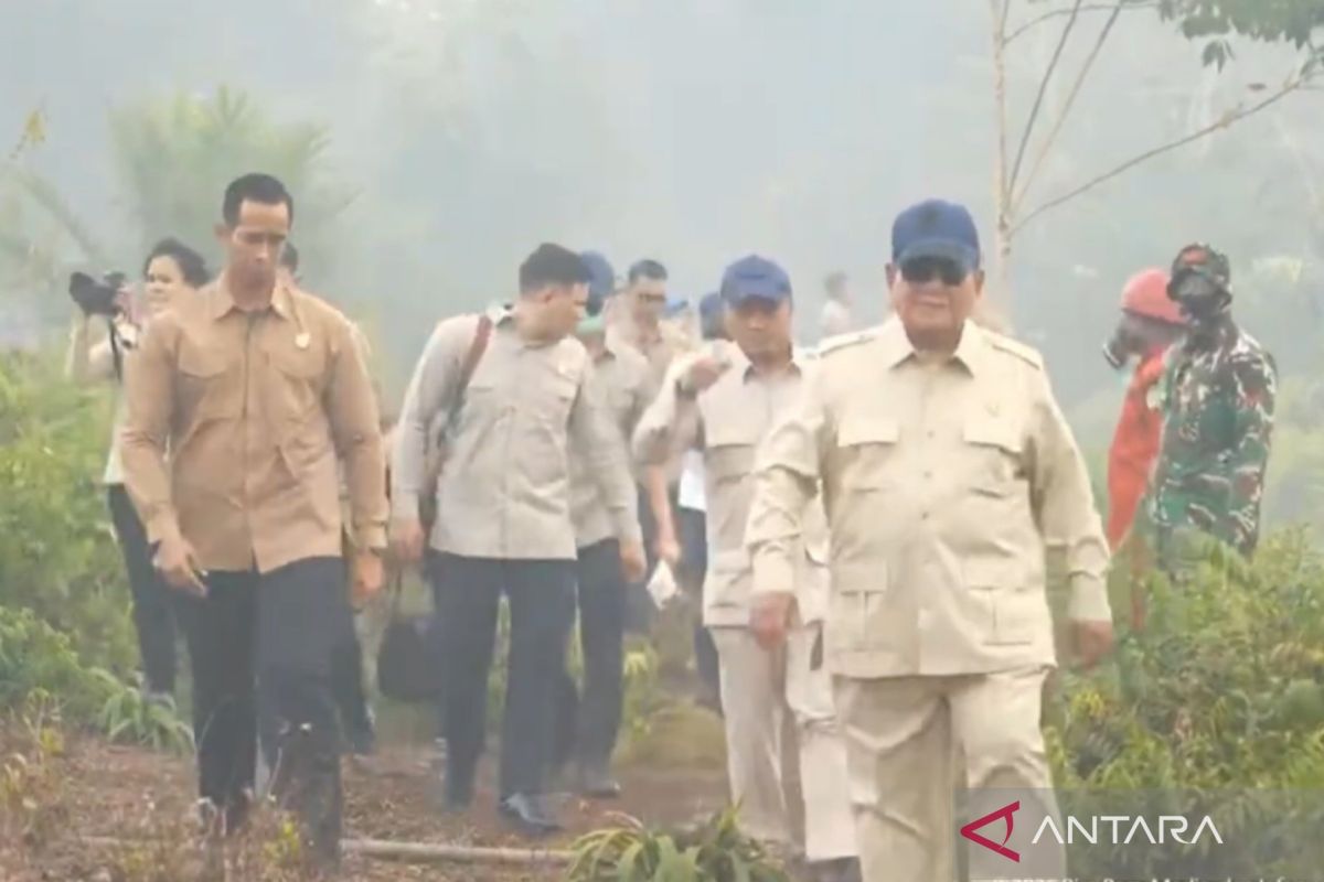 Prabowo inspects West Kalimantan fires, orders coordinated response