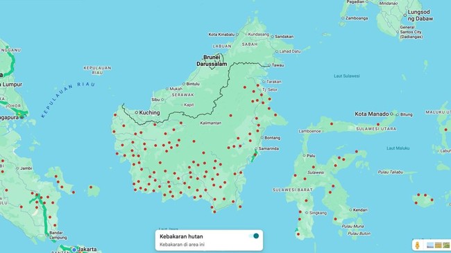 3 Ways to Check Forest Fires Online, Including via Google Maps