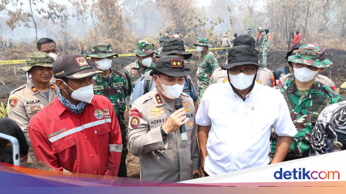 Environment Minister Praises Pre-Disaster Mitigation in Riau: Forest Fires Relatively Down