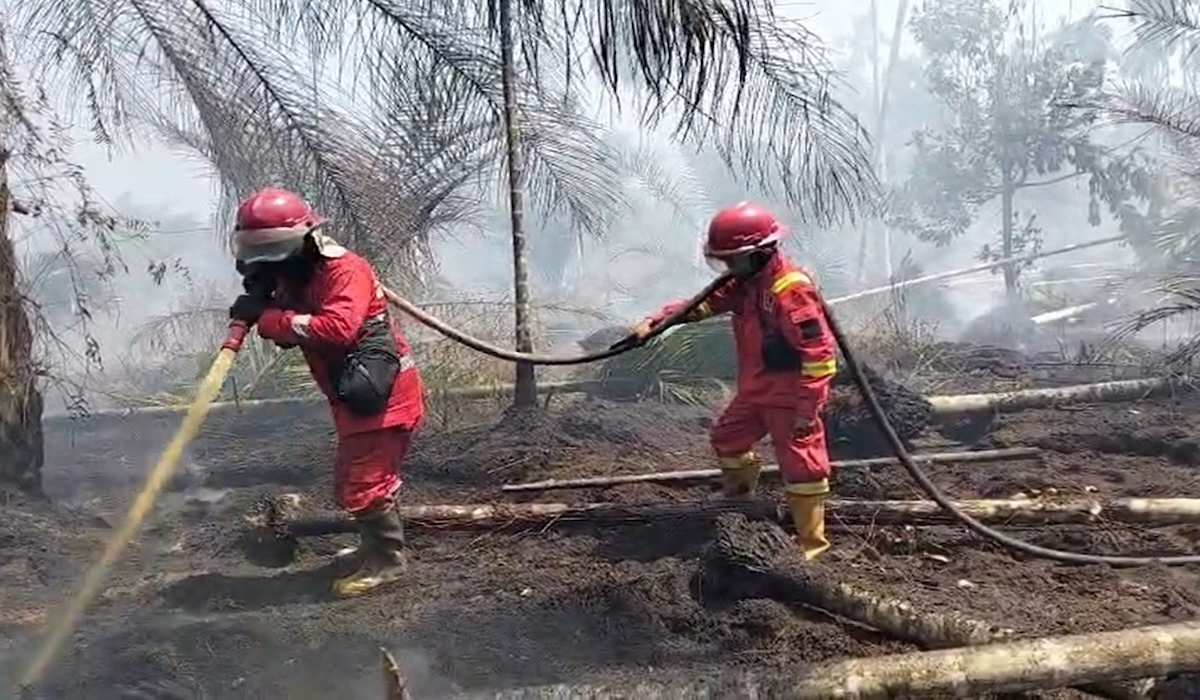 Peatland Fire in Betara, Jambi Enters Third Day