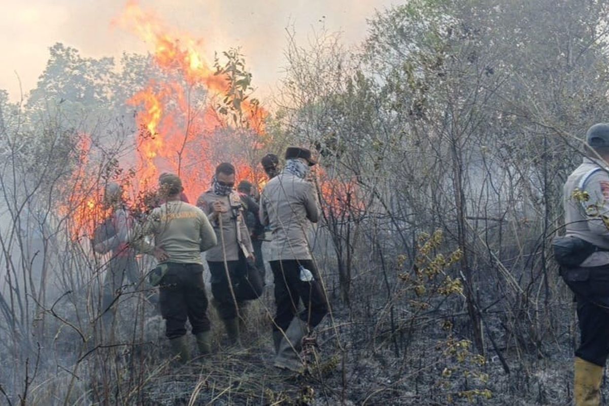 Way Kambas National Park forest fire still raging, 673.4 hectares burned