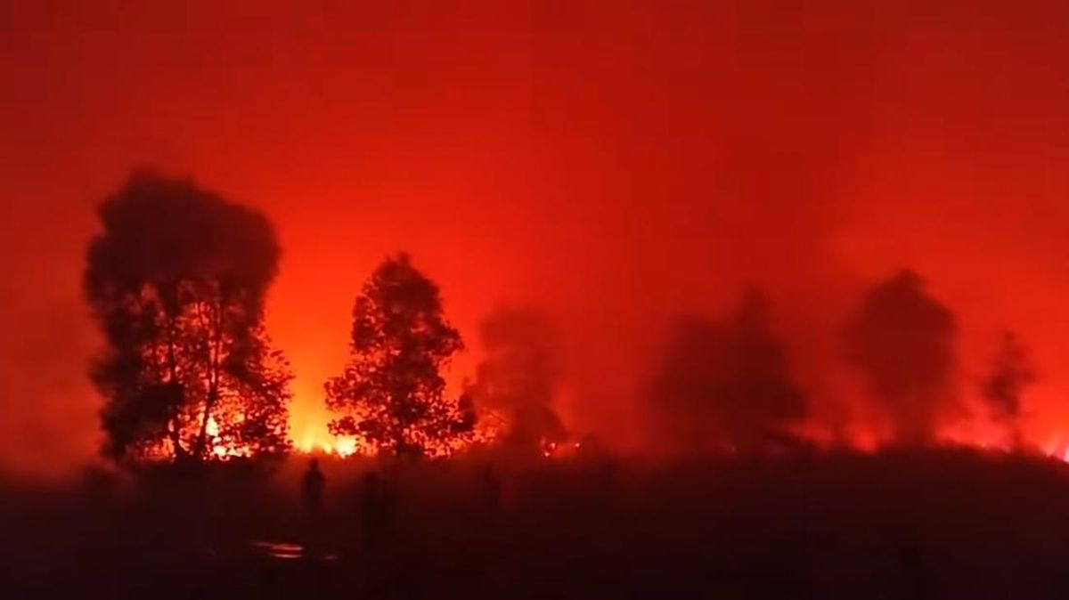 Forestry Ministry Reveals Challenges in Extinguishing Way Kambas Fire
