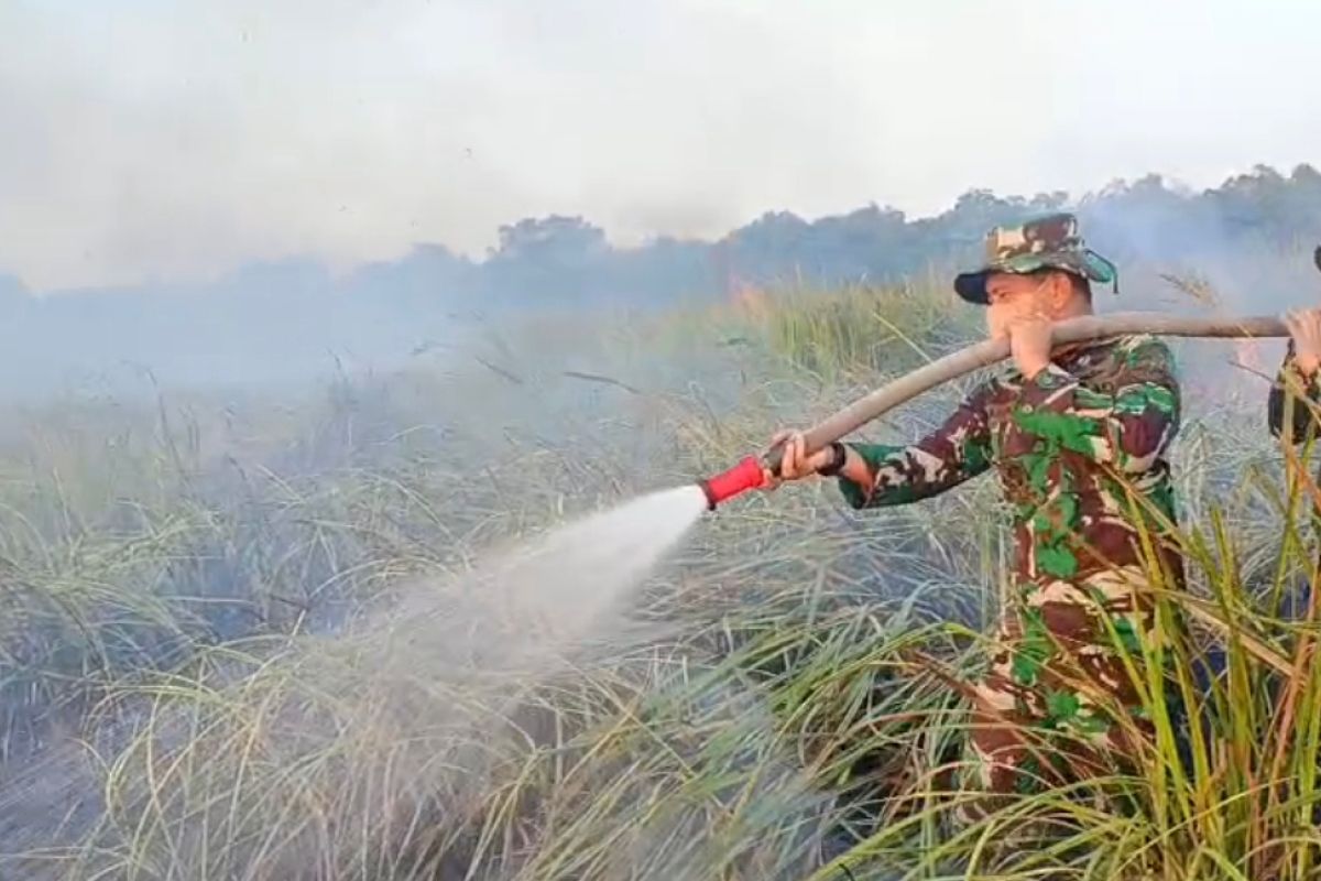 Kodam XXI deploys infantry battalion to help extinguish forest fires in Way Kambas National Park