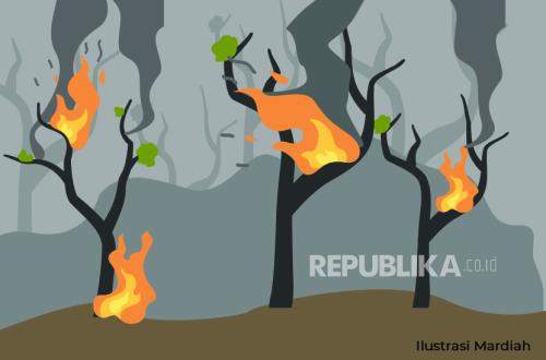 673.4 Hectares of Way Kambas National Park Still Ablaze