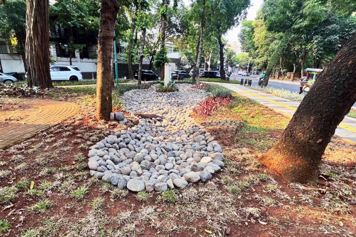 Rain garden becomes water absorption solution at Taman Wisma Angkasa
