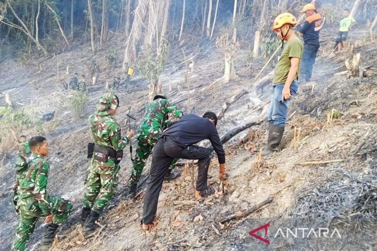 Kodam XXIII/PW and joint forces extinguish forest and land fires in Donggala