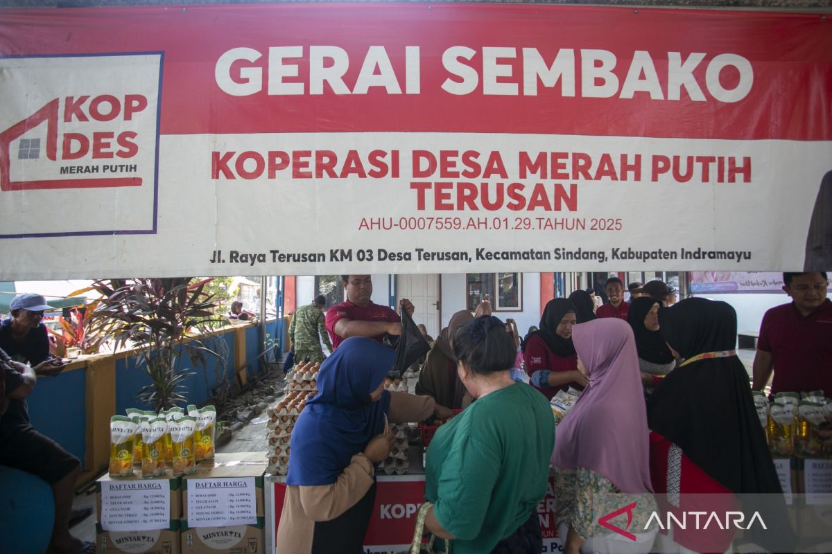 Cooperatives must refocus on business development, says minister