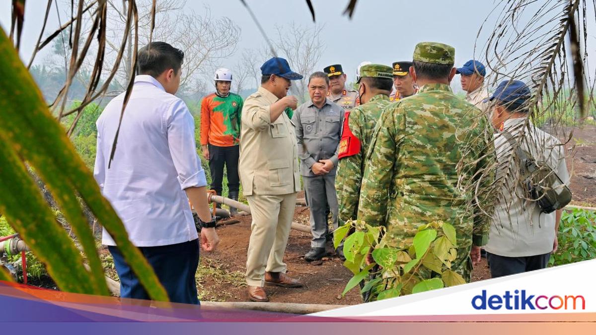Prabowo Issues Directives on Forest and Land Fires During On-Site Inspection in Kalimantan