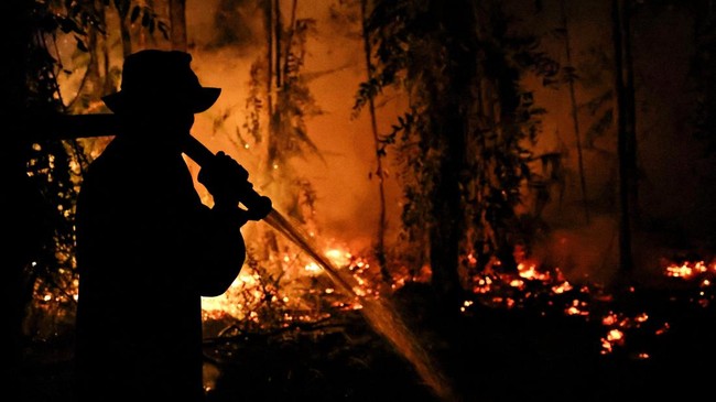 Biodiversity and DNA Sustainability Also Threatened by Forest and Land Fires