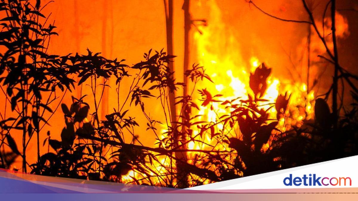 Caught on Camera by Children, Two Forest Fire Suspects Arrested in Palangkaraya