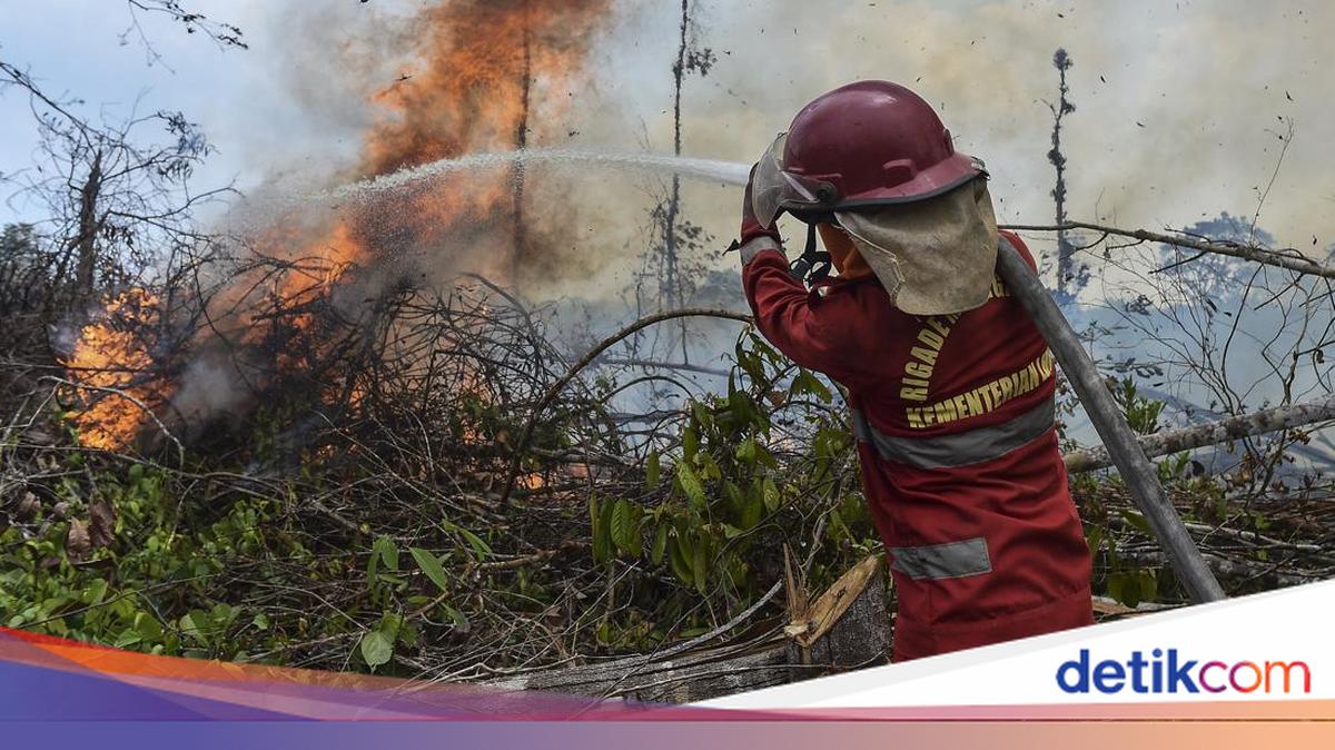 Three Obstacles Make Forest and Land Fire Flames Difficult to Extinguish