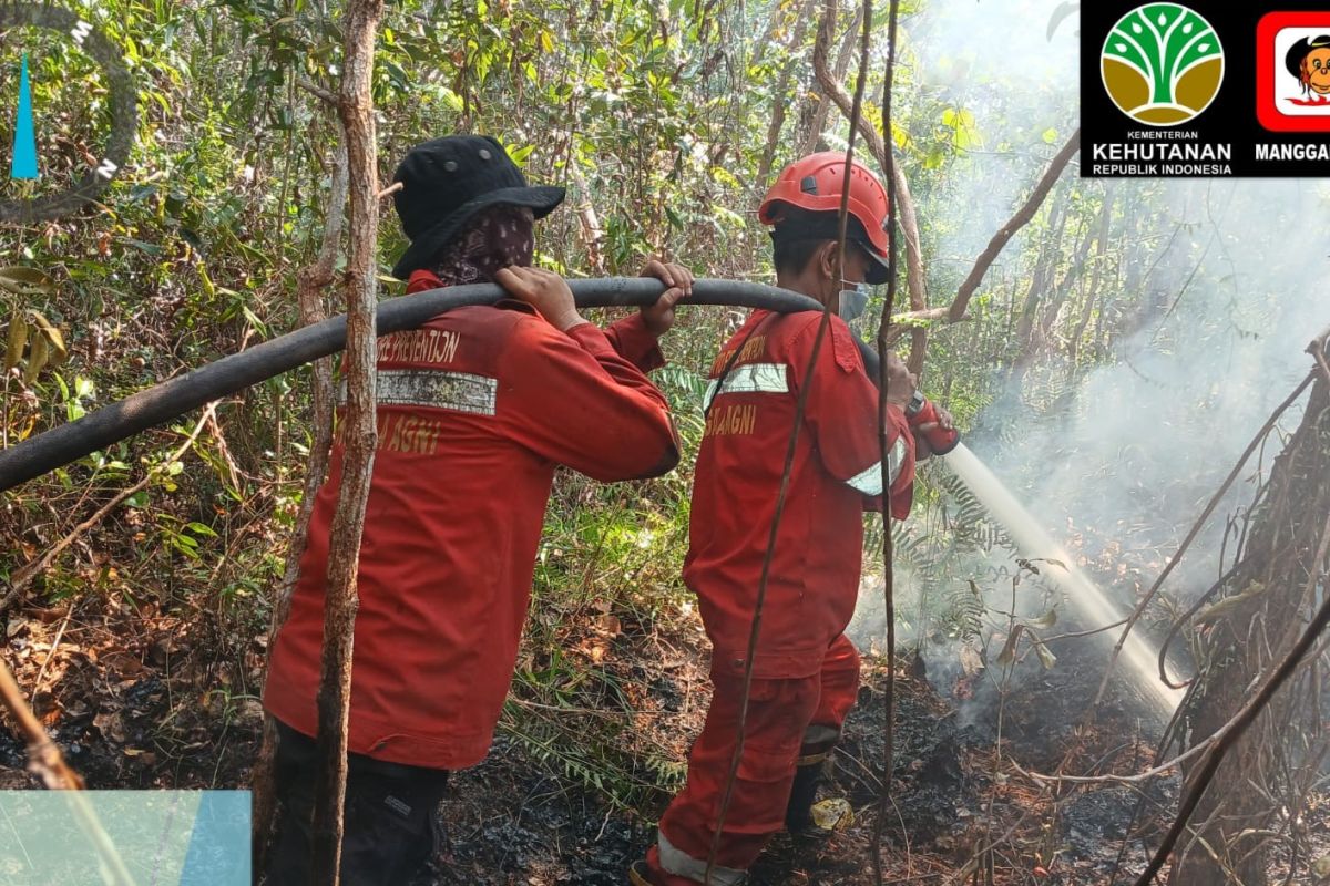 Sumatra Forest Fire Control Office deploys BKO personnel to South Sumatra
