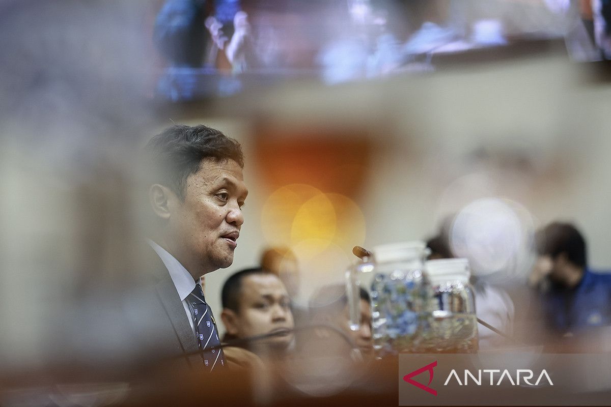 DPR: Crackdown on 'Ordered Bride' Human Trafficking Saves National Dignity