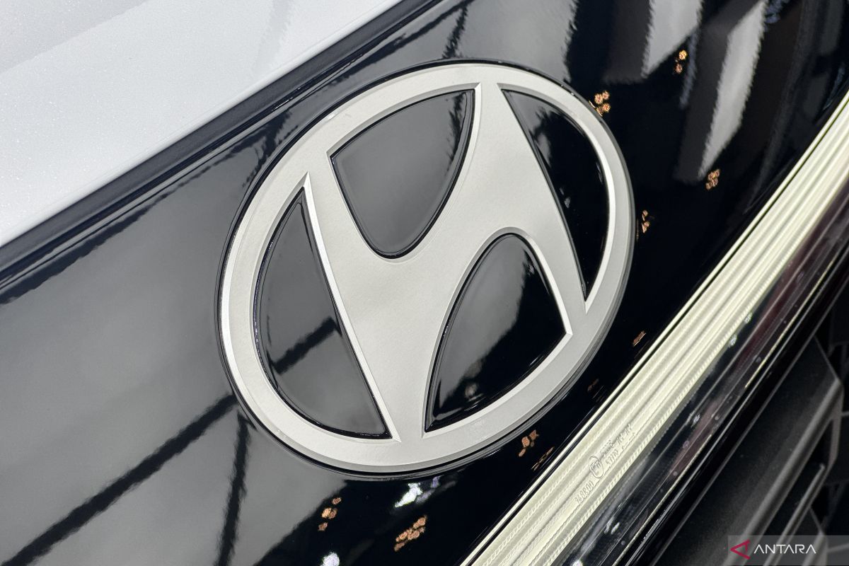 Hyundai workers strike, robots among key reasons