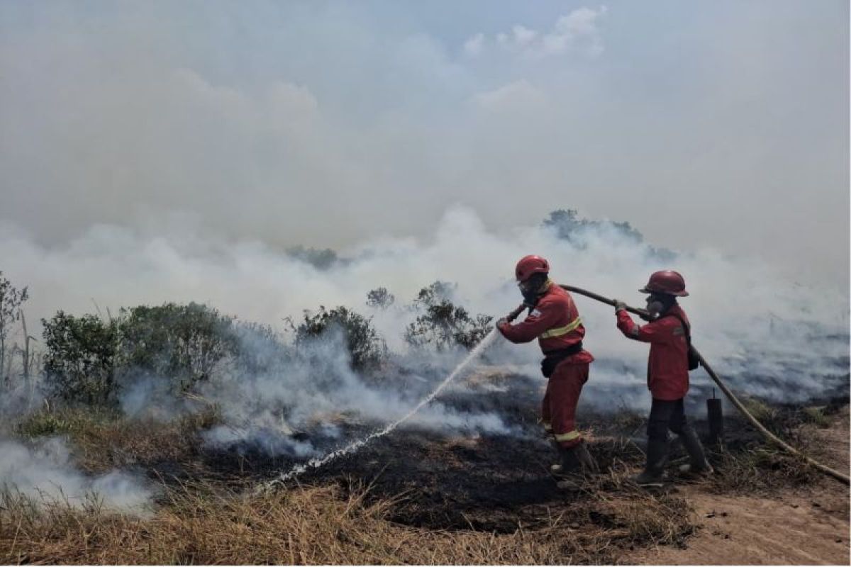DMI calls for repentance and Istisqa prayer amid forest fire threat