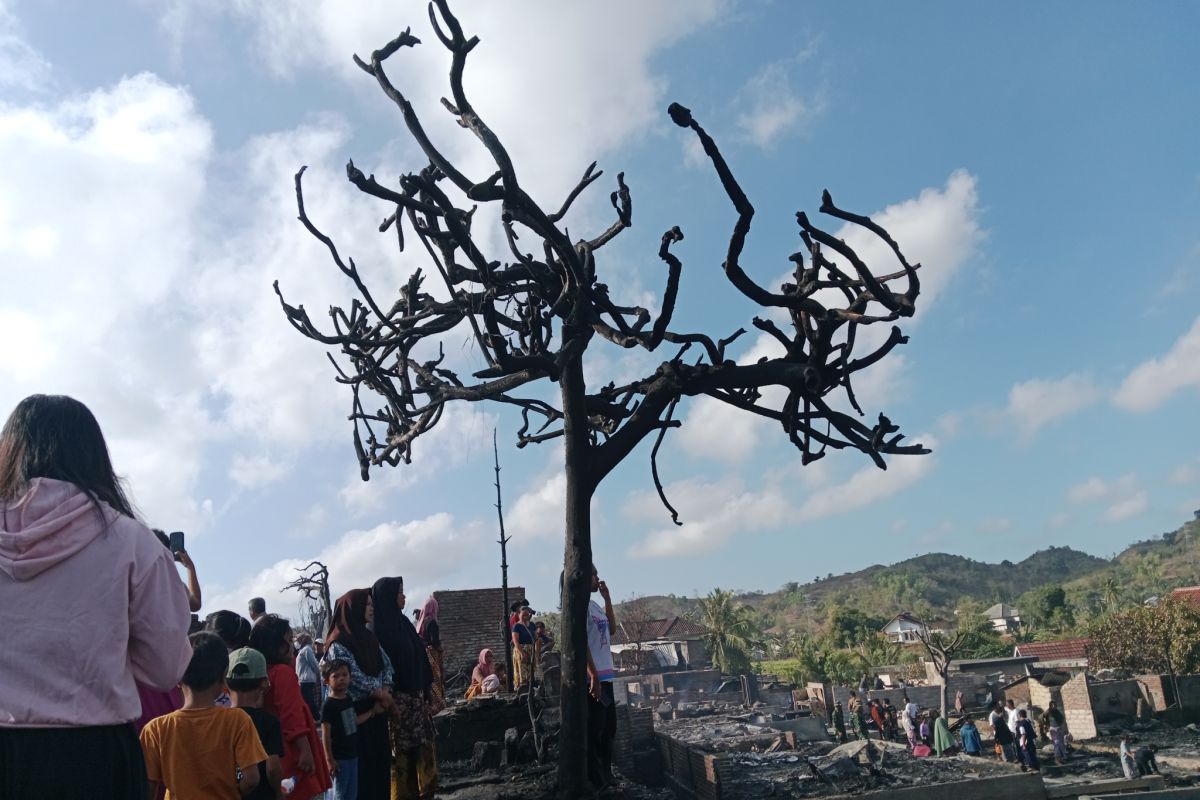 Central Lombok government focuses on aiding victims of Sade traditional house fire