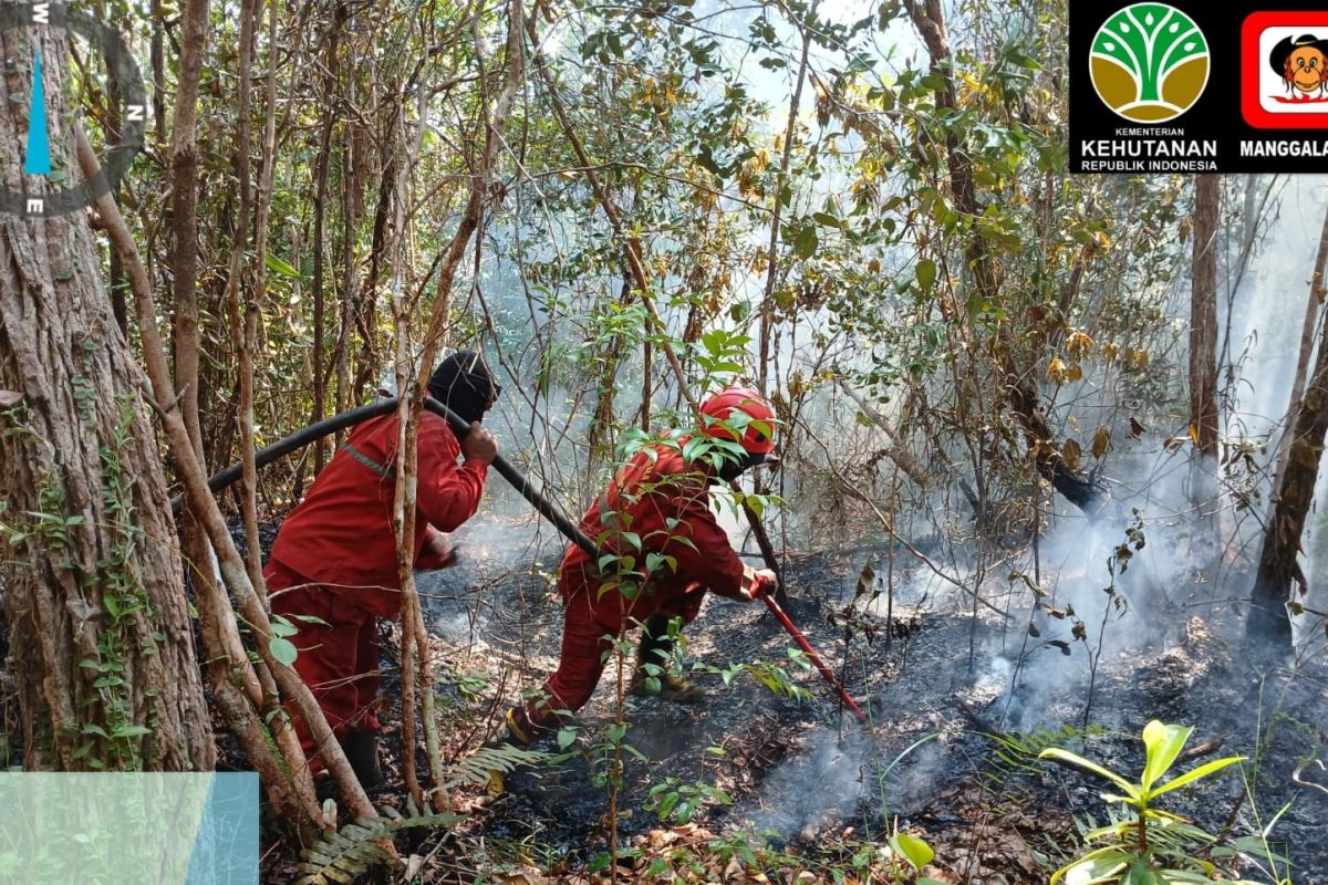 Manggala Agni Sumatra battles forest and land fires in 17 villages
