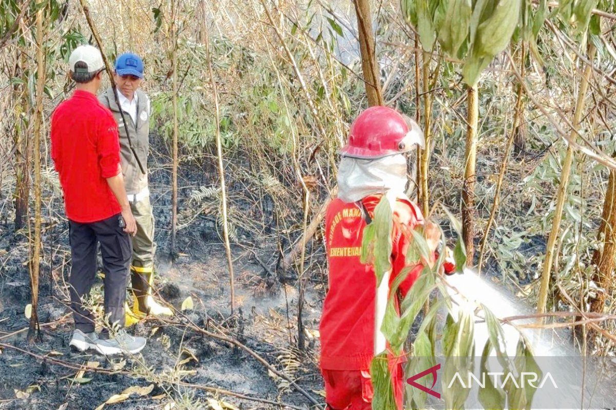 Forestry Minister ensures peatland wetting in South Kalimantan continues