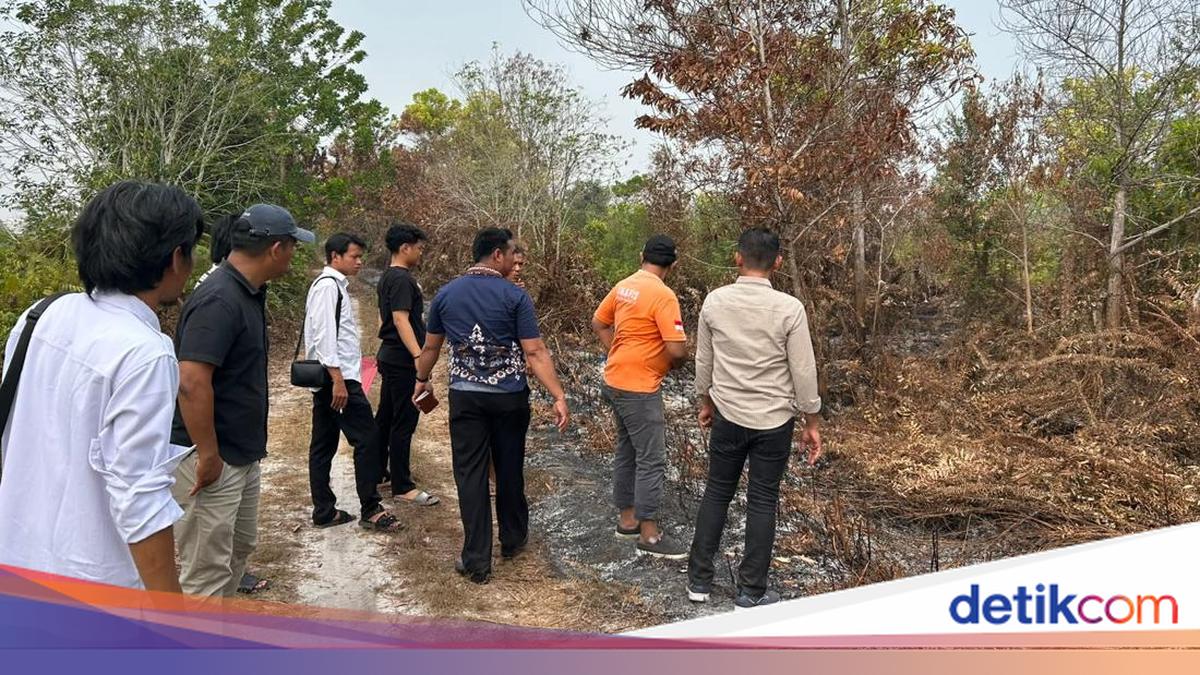 'Headlamp Man' Suspected of Central Kalimantan Forest Fire: From Viral Video to Named Suspect
