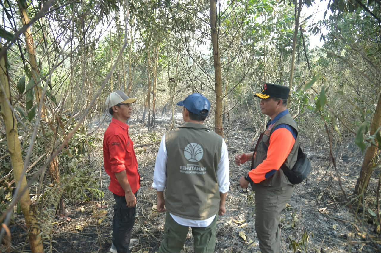 Forestry Minister Visits South Kalimantan Forest Fire Sites, Firefighting Operations Strengthened