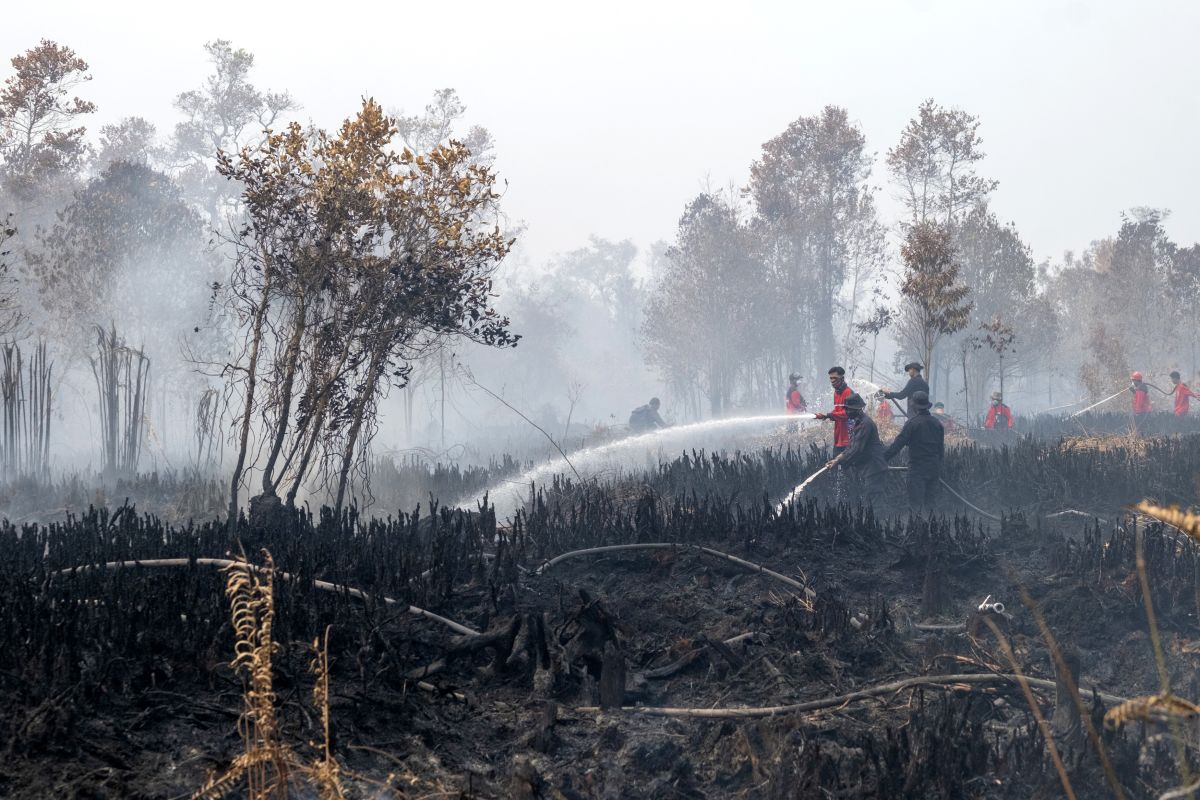 Forest and land fire suppression operations in Palangka Raya intensified