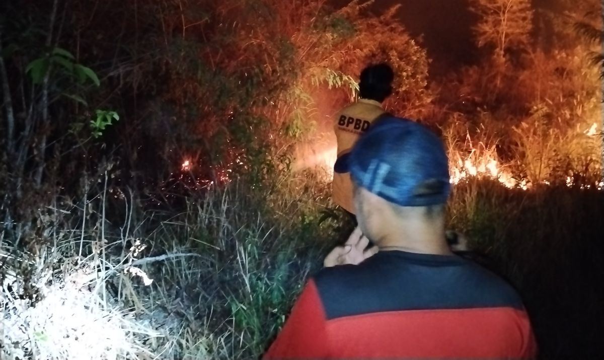 268 Hotspots Surround Bangka Belitung, BPBD on Alert for Forest and Land Fires