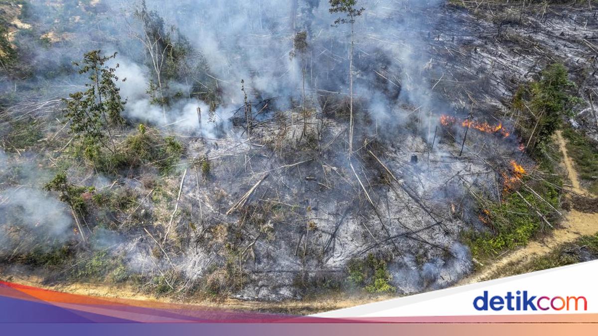 Tito Instructs Regional Heads: Ban Land Clearing by Burning