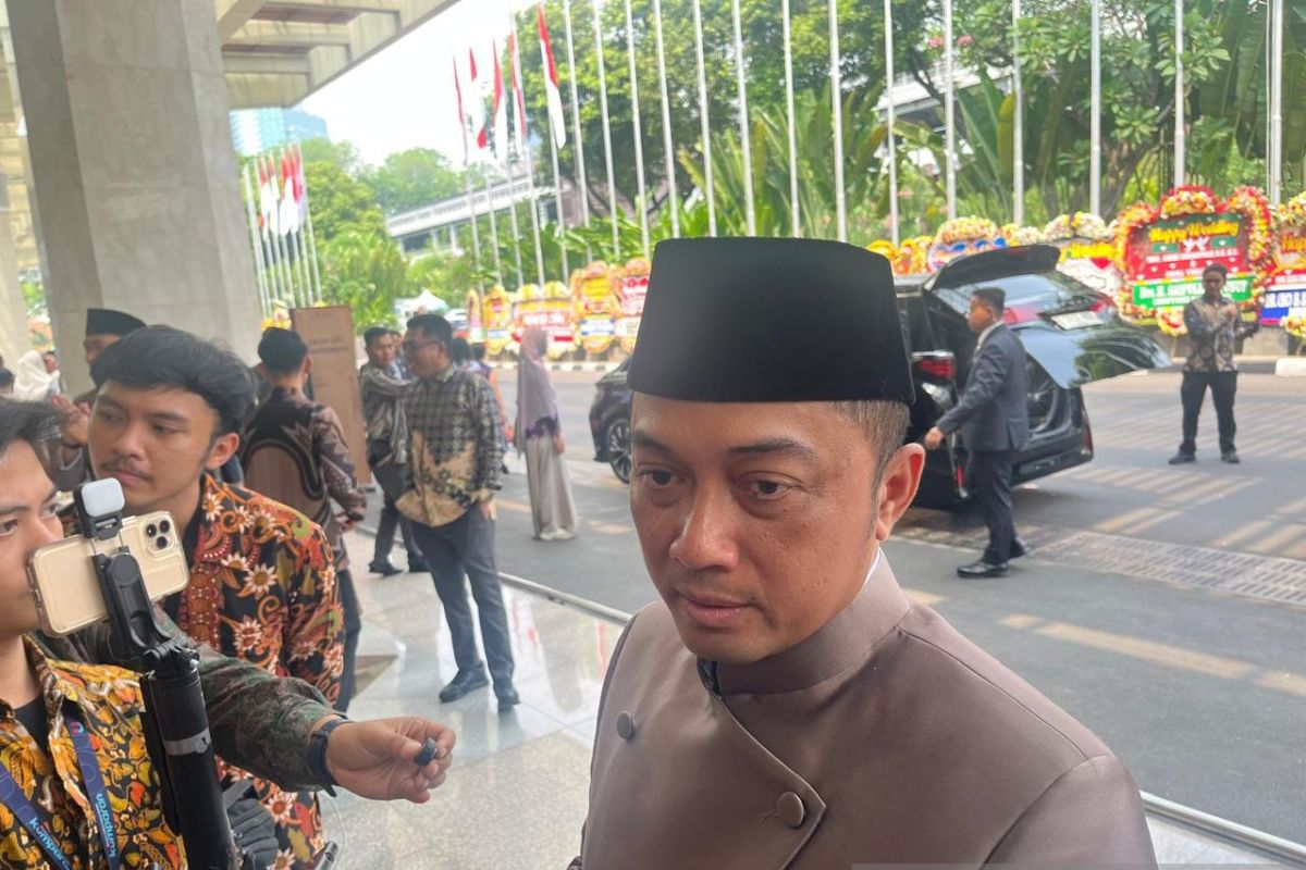 Government appoints ministers to handle forest and land fires by region