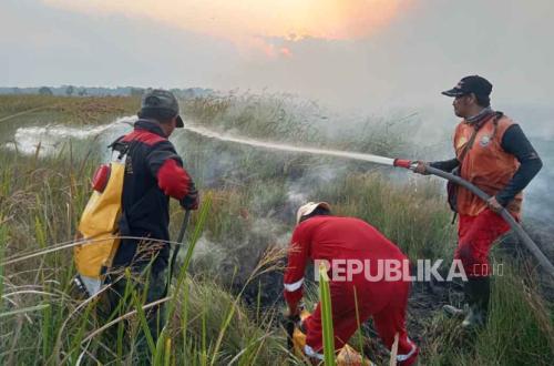 Fire in Way Kambas National Park Extinguished, All Elephants Reported Safe