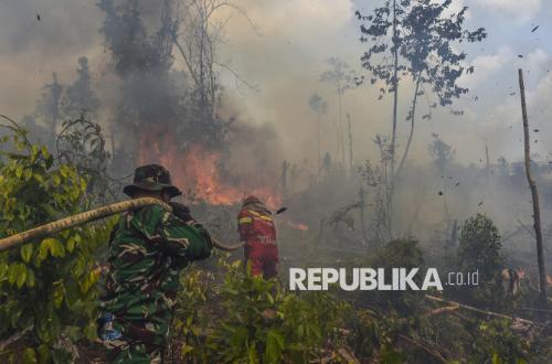 Forest Fires Spread, Activists Highlight Natural Resource Governance
