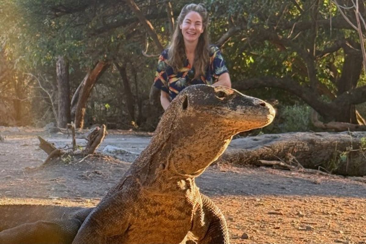 Michelle Monaghan recounts visiting Indonesia to see Komodo dragons