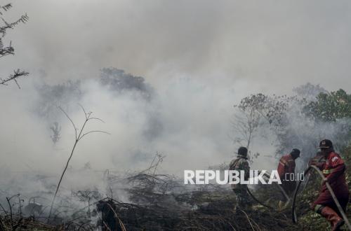 BNPB Urges Malaysia and Singapore Not to Blame Each Other Over Kalimantan Forest Fire Haze