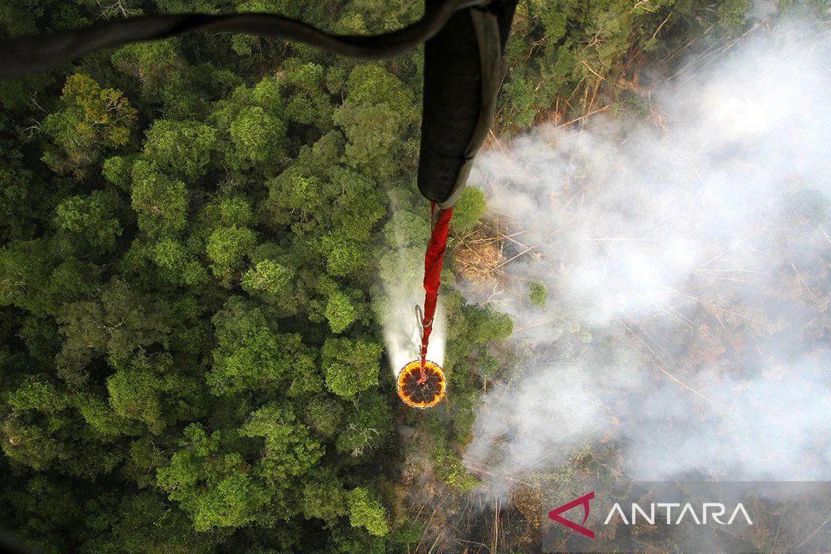 Indonesia fast-tracks foreign aircraft to fight forest fires
