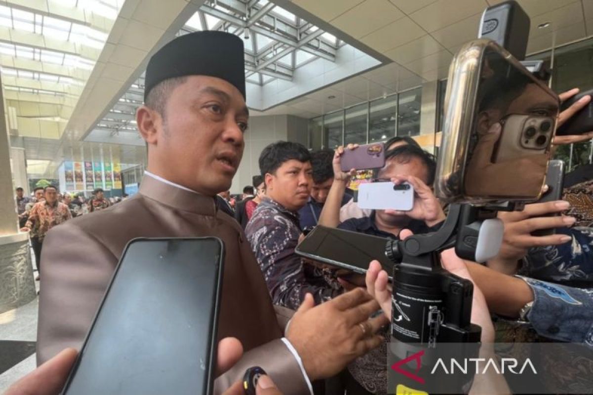 Government communicates with neighbouring countries over forest fire haze