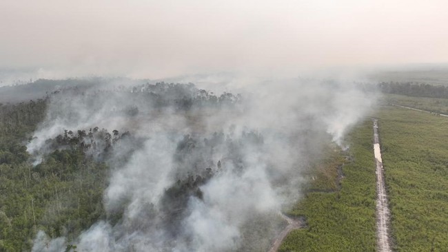 Police Name 72 Suspects in Forest and Land Fires, Reveal Their Methods