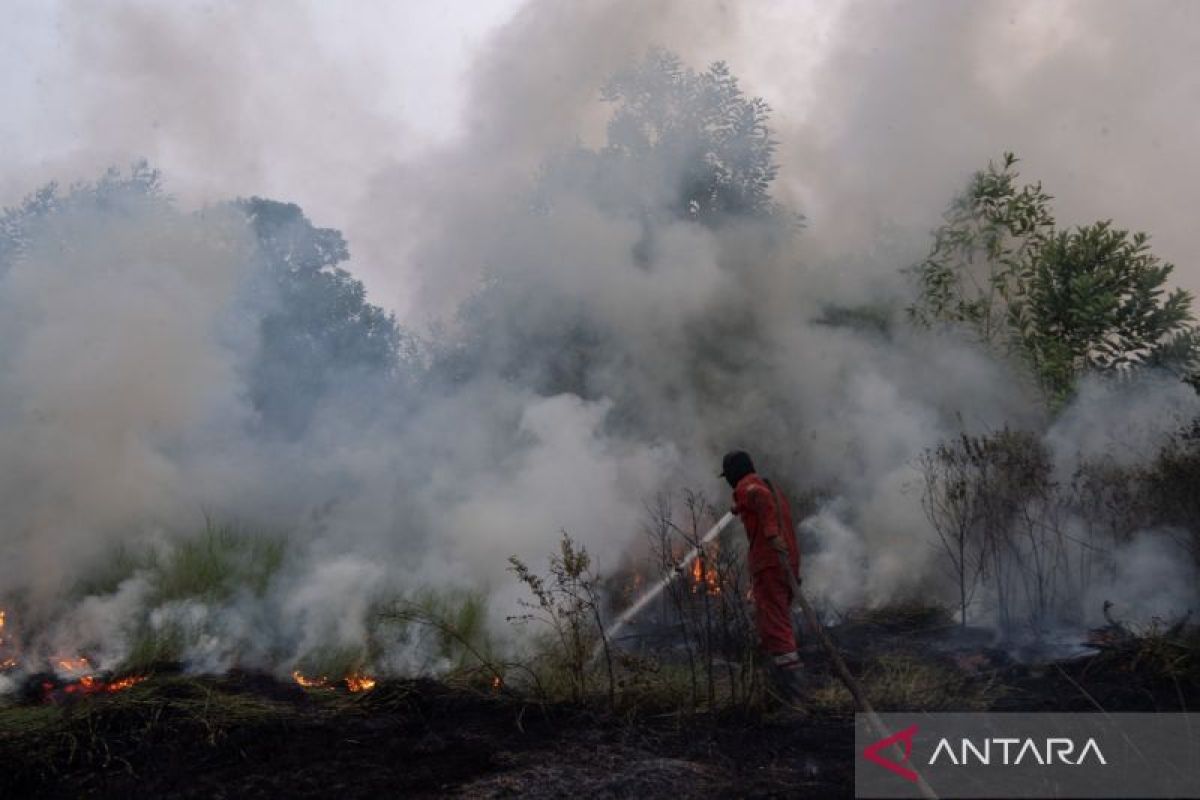 Police name 72 suspects in forest and land fire cases across nine regional police forces
