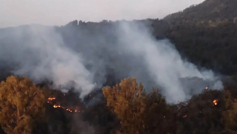 Fire in Raden Soerjo Grand Forest Park Extinguished, Joint Team Sweeps for Remaining Embers