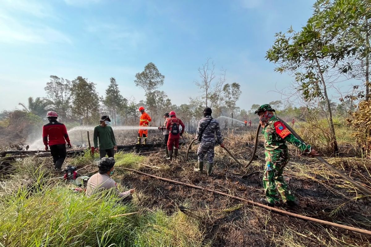 Way Kambas wildfire extinguished, elephants safe: Forestry Ministry