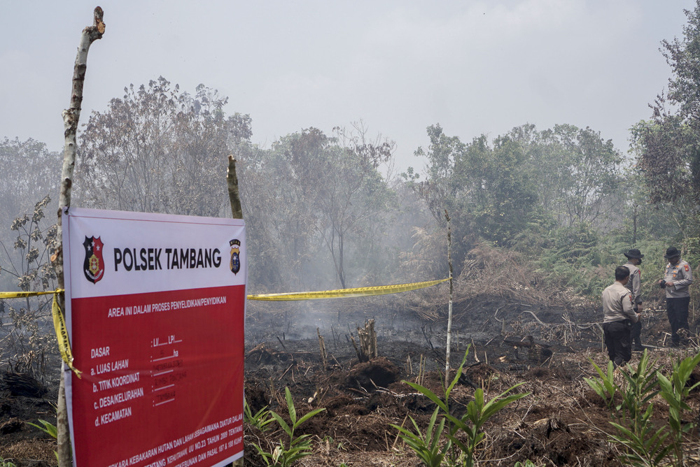 Police Continue to Investigate Corporate Involvement in Forest and Land Fire Cases