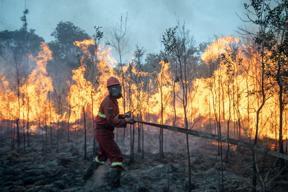 Police Name 72 Suspects in Forest and Land Fire Cases, Assure Professional Handling