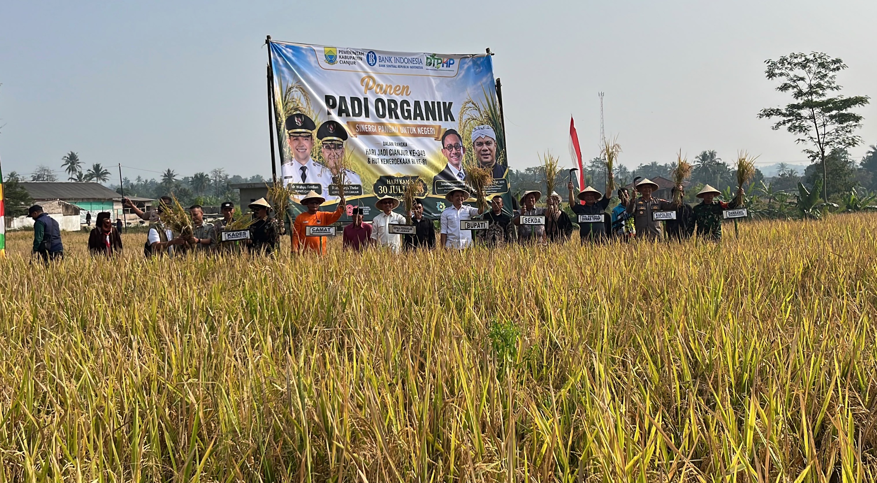 Cianjur Develops Organic Rice as Diversification Effort to Boost Agricultural Productivity