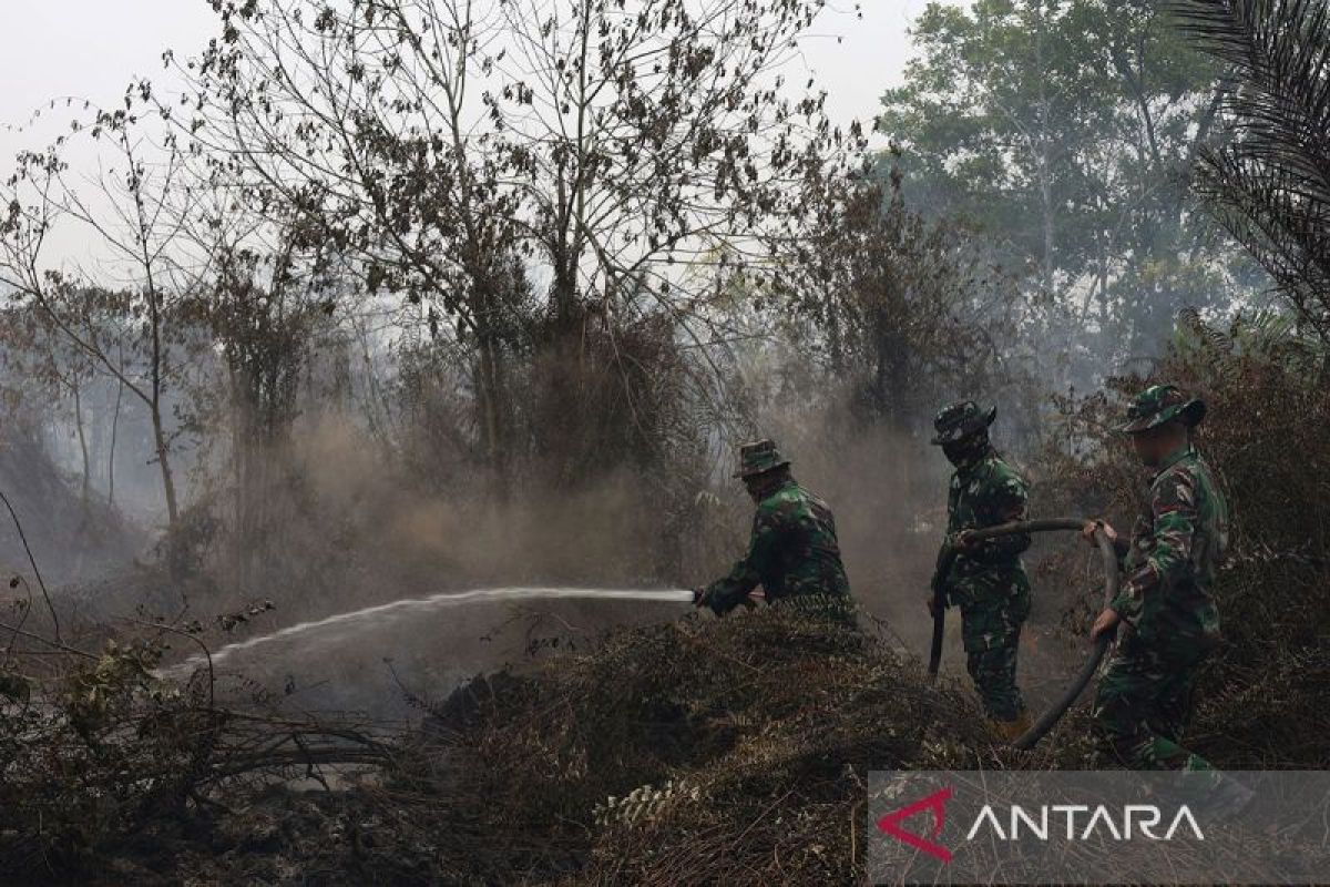 Health Ministry deploys 314 health workers and logistics to provinces responding to forest and land fire impacts