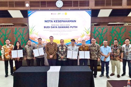 PTPN Prepares 10,000 Hectares of Land in West Java to Boost Garlic Self-Sufficiency