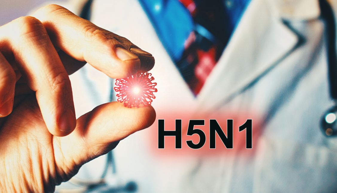 Australia Reports First Human Case of H5N1 Bird Flu