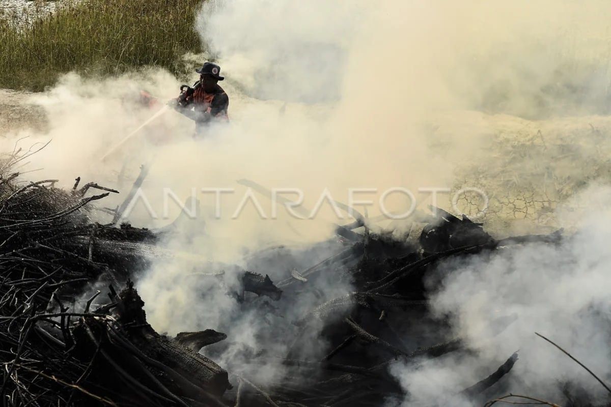 House backs law enforcement on forest fires to create deterrent effect