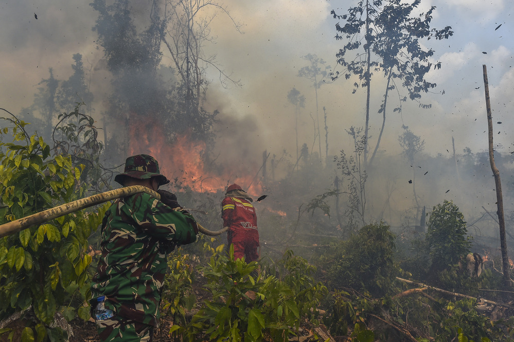 TNI Freefall Paratroopers to Be Deployed to Tackle Forest and Land Fires